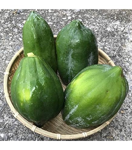 Amazon.co.jp: 無農薬 青パパイヤ 2kg（約2～4玉）沖縄産 沖縄